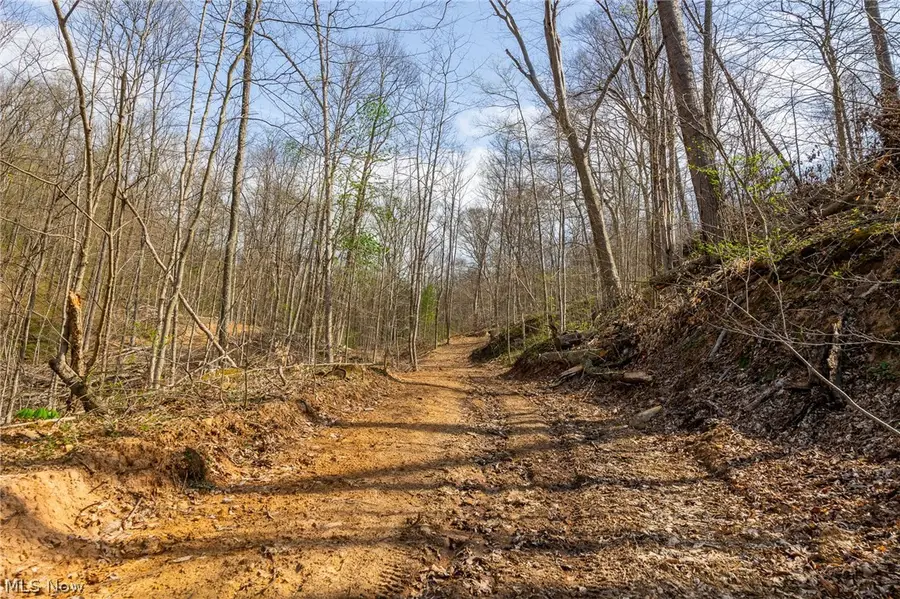 0 Twp Rd 63 Deans Fork Rd #5, Whipple, OH 45788 - #2