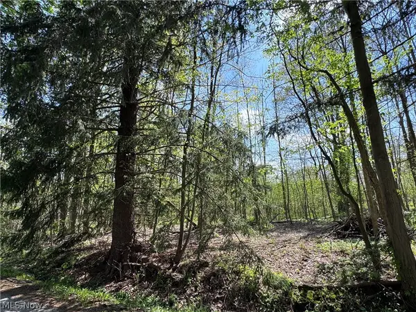 11664 Chestnutdale Road, Chardon, OH 44024