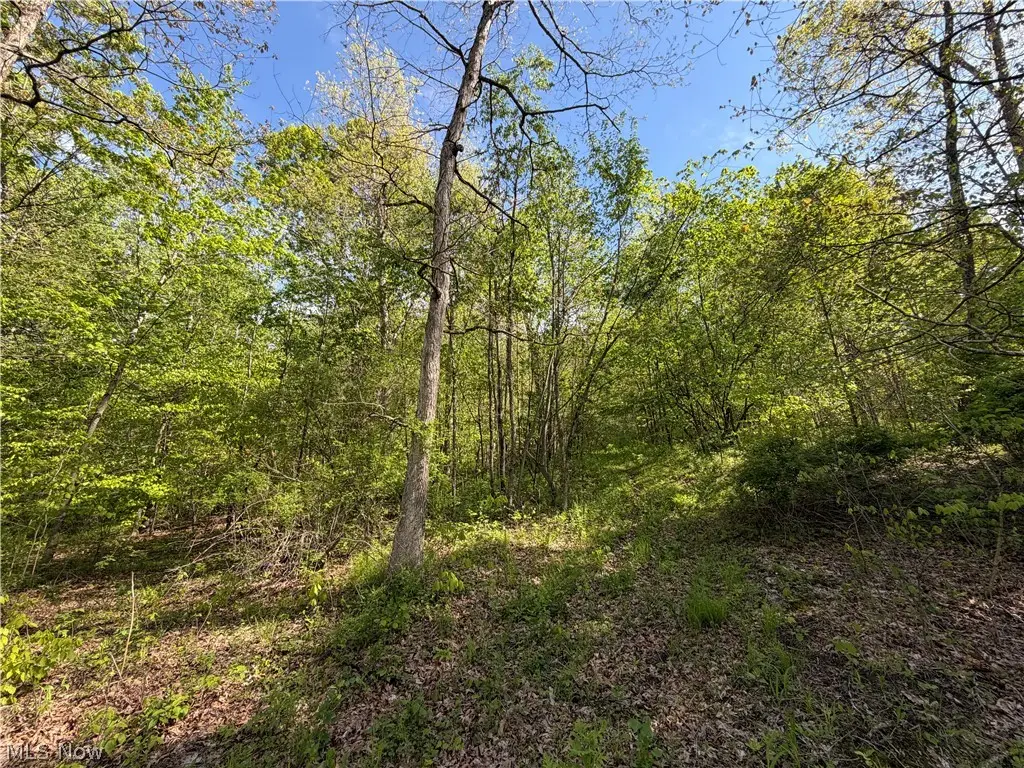 Township Road 290, Coshocton, OH 43812 - #1