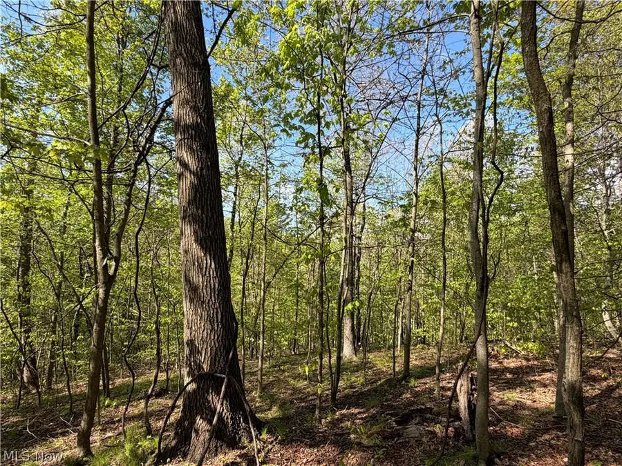 Township Road 290, Coshocton, OH 43812 - #3