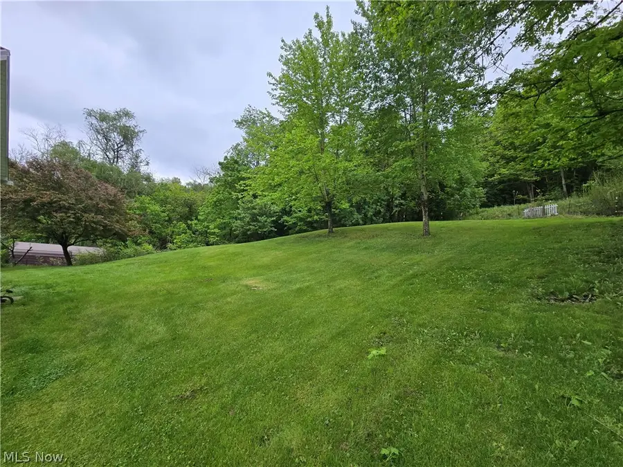 67480 Plum Street, Bridgeport, OH 43912 - #3
