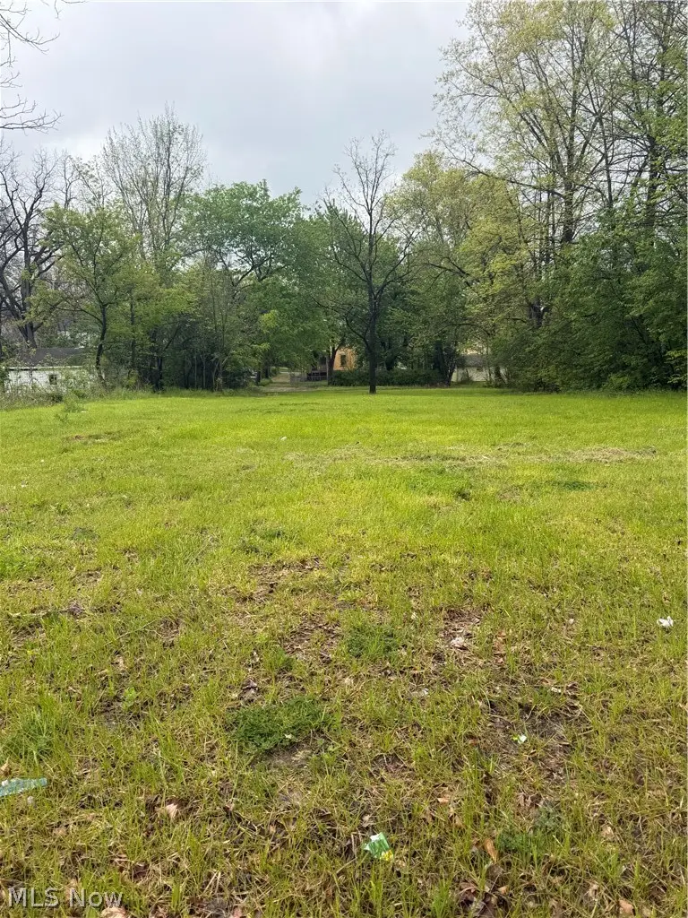 463 S Chestnut Street, Ravenna, OH 44266 - #1