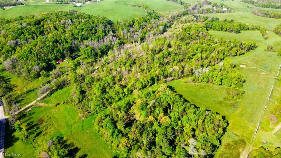 Patton Road, Jewett, OH 43986 - #3