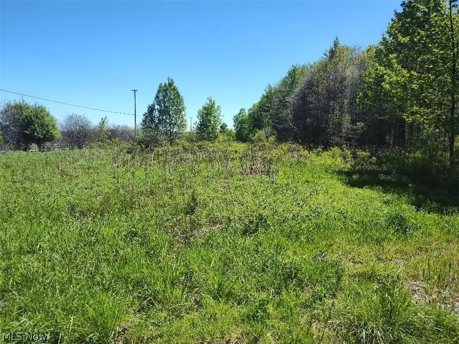 3082 Fobes Road, Morgan, OH 44010 - #3