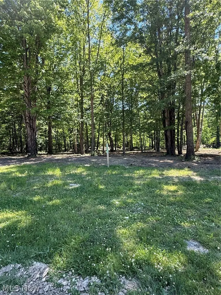 46 Breezewood Lane, Vermilion, OH 44089 - #1