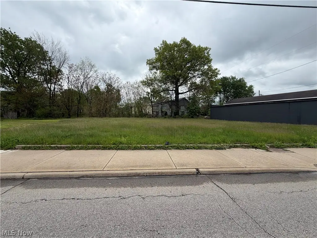 Elm Ne Road, Warren, OH 44483 - #1