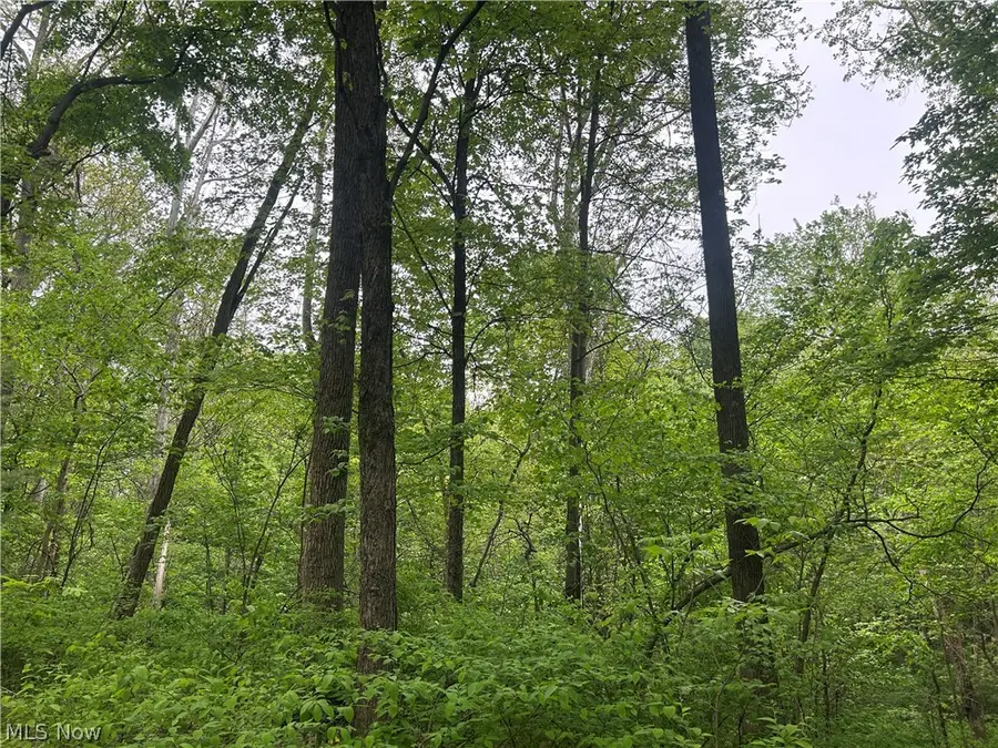 Wesley Chapel, Mount Perry, OH 43760 - #2