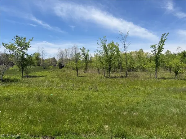 Station Road, Valley City, OH 44280