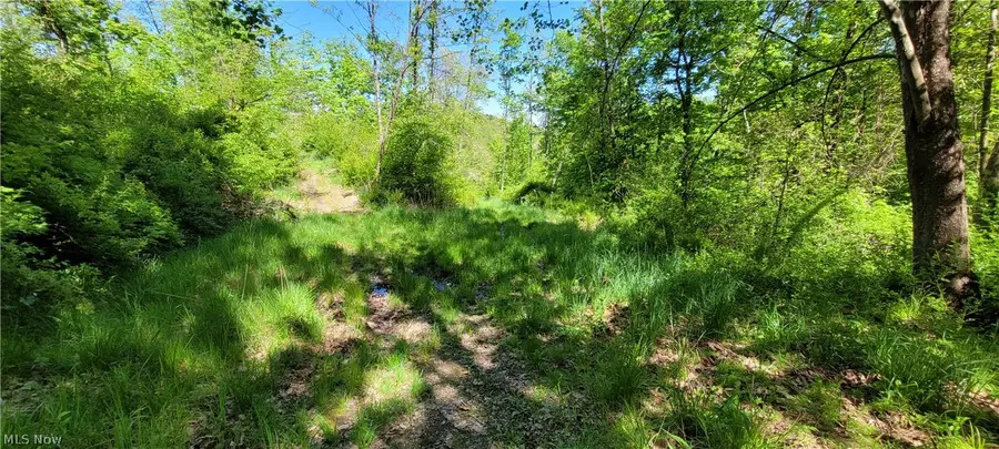 72577 Old Twenty-one Road, Kimbolton, OH 43749 - #3