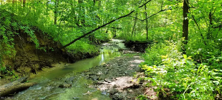 Hollis Clark Road, Caldwell, OH 43724 - #2