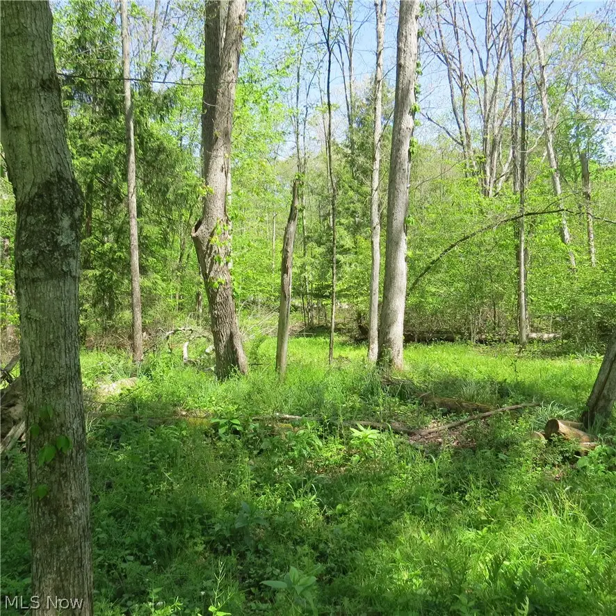 Montero Ne Road, Carrollton, OH 44615 - #2