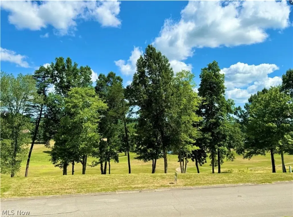 Woodridge Drive, Mineral Wells, WV 26150 - #1