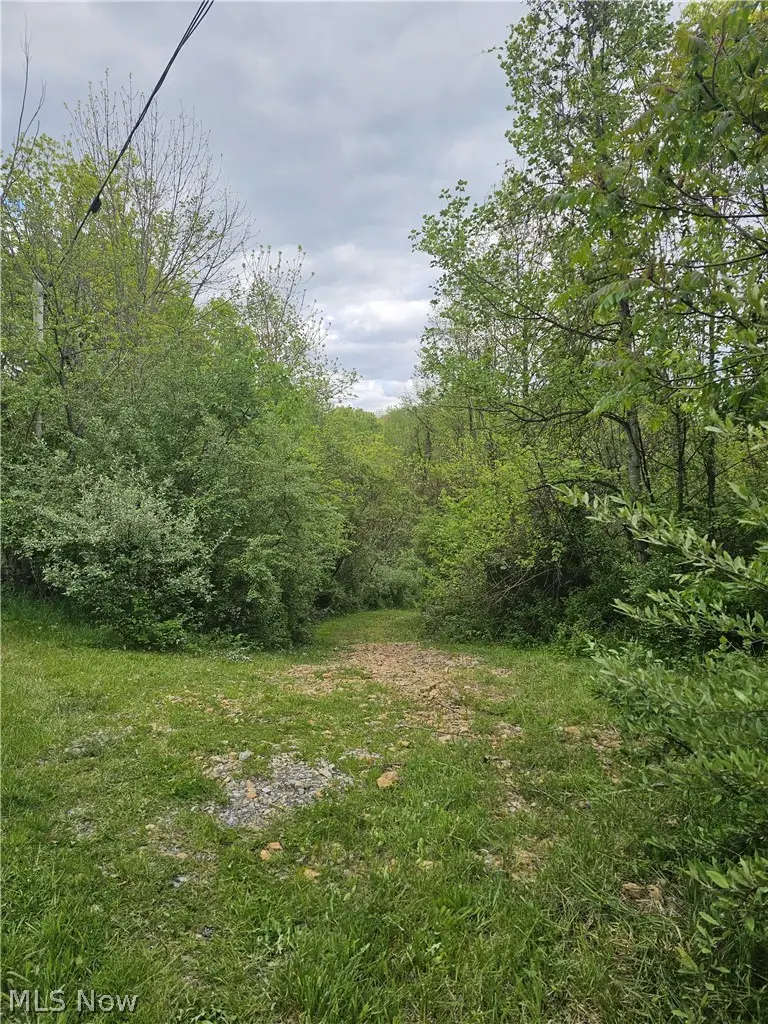 8280 Township Road 263, Bergholz, OH 43908 - #1
