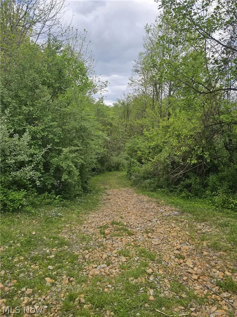 8280 Township Road 263, Bergholz, OH 43908 - #2