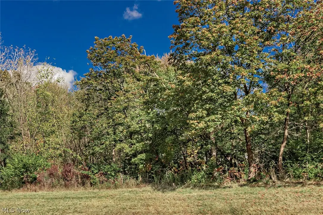 V/l Schady Road, Olmsted, OH 44138 - #1