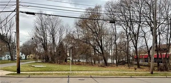 V/L Andrews Road, Mentor on the Lake, OH 44060