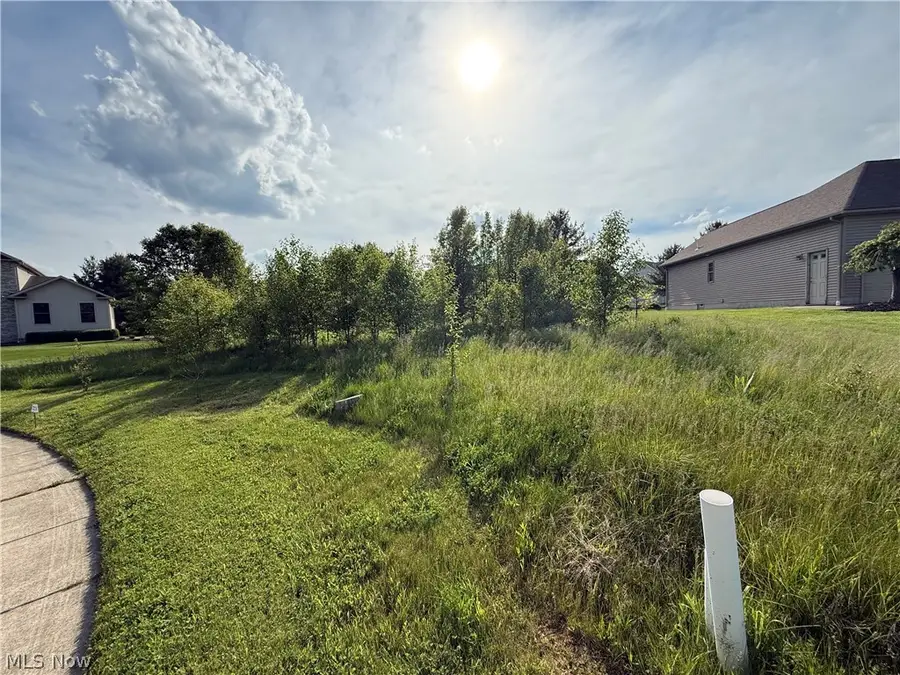 40 Woodland Run, Canfield, OH 44406 - #2
