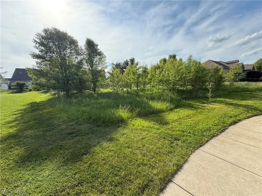 40 Woodland Run, Canfield, OH 44406 - #3