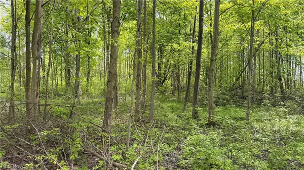 Youngstown Kingsville Road, Warren, OH 44473