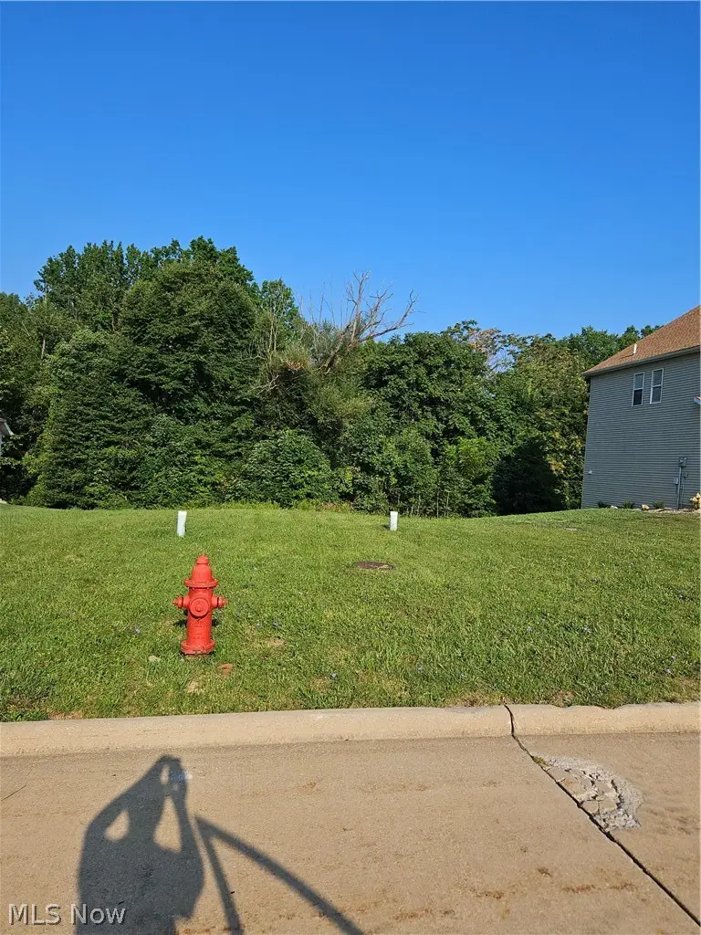 6318 Valley Ranch Drive, Maple Heights, OH 44137 - #1