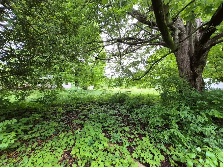 Newell Ledge Road, Garrettsville, OH 44231 - #2