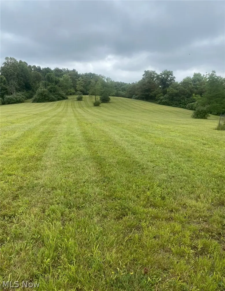 Pugh Road, Cadiz, OH 43907 - #3