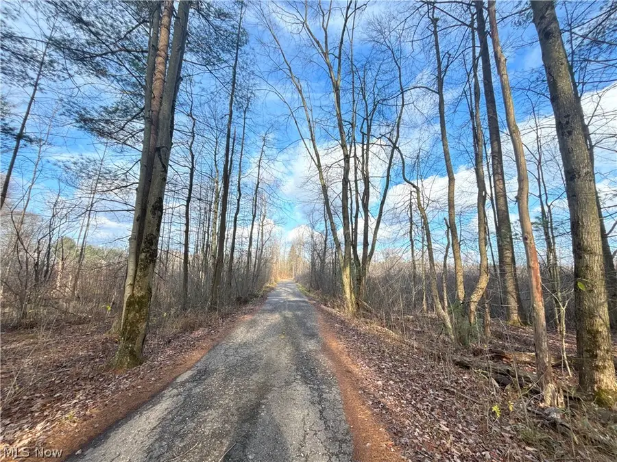10775 Bell Road, Newbury, OH 44065 - #3