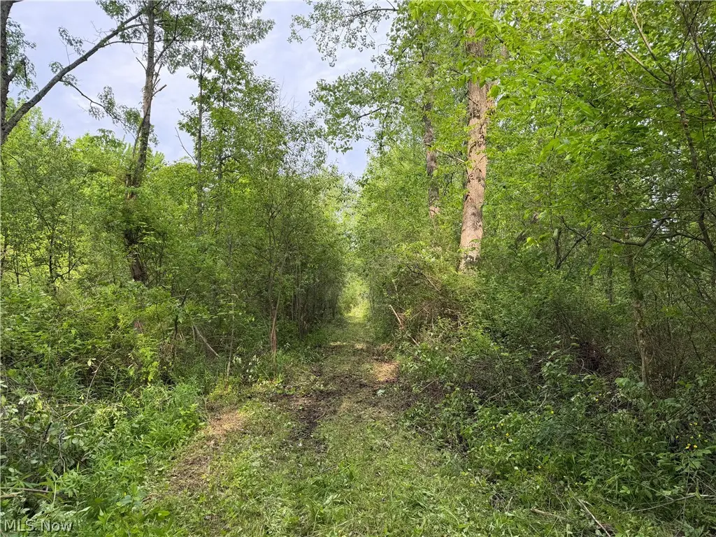 0 Dayton Road, Madison, OH 44057 - #1
