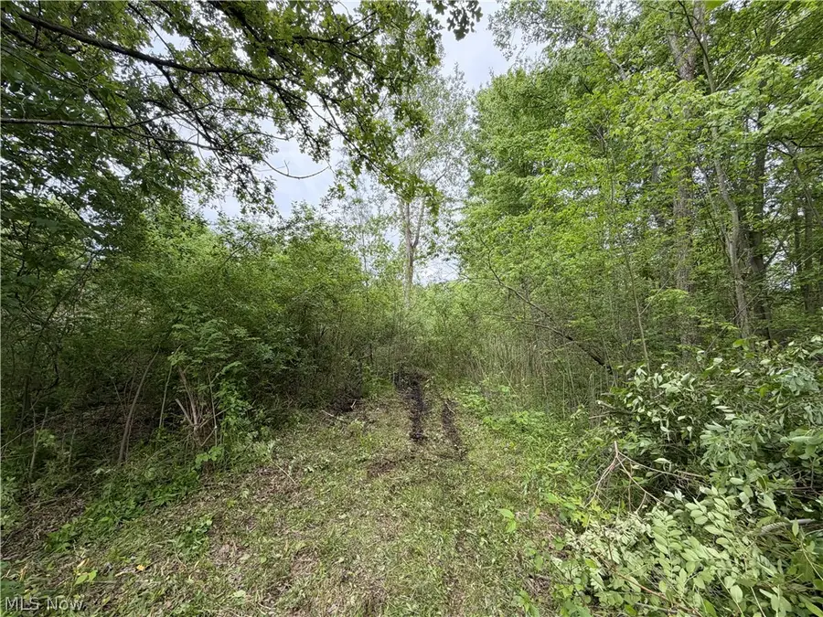 0 Dayton Road, Madison, OH 44057 - #2