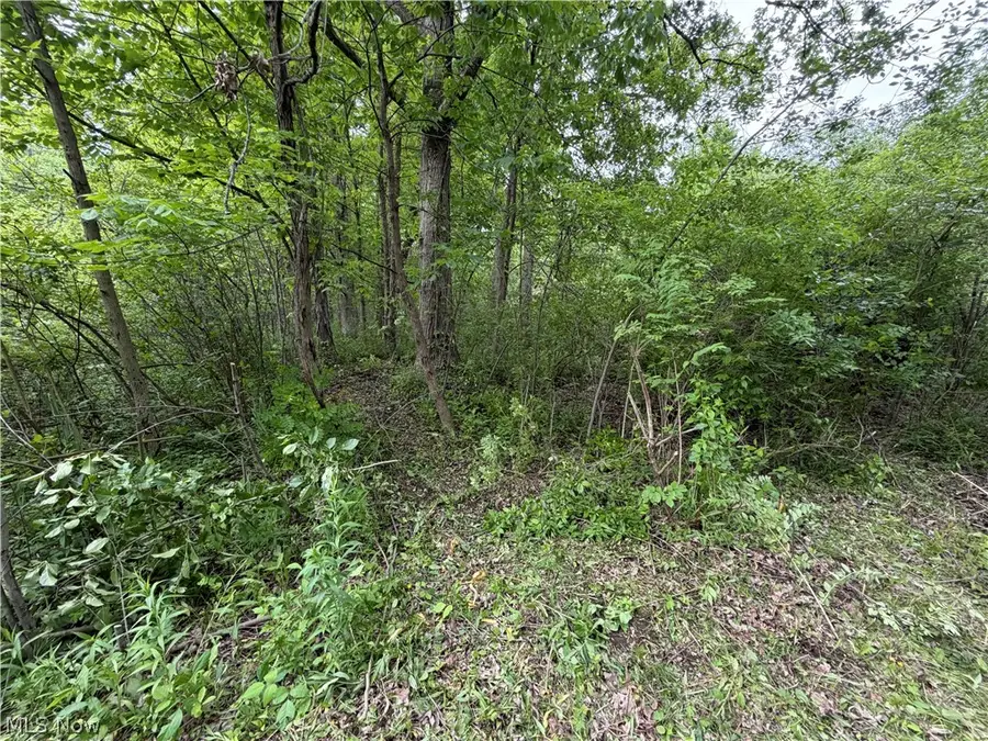 0 Dayton Road, Madison, OH 44057 - #3