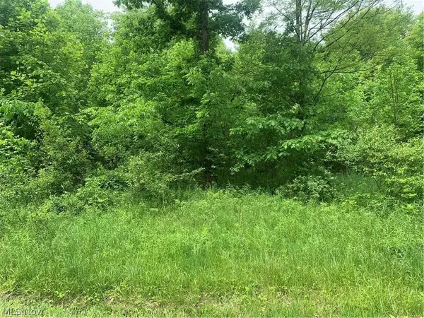 Pinney Topper Road, Ashtabula, OH 44004
