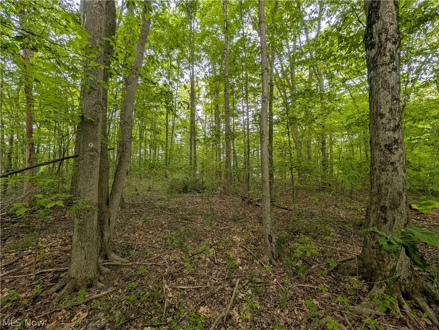 W Western Reserve Road, Canfield, OH 44406 - #2