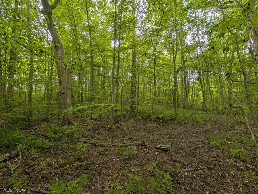 W Western Reserve Road, Canfield, OH 44406 - #3