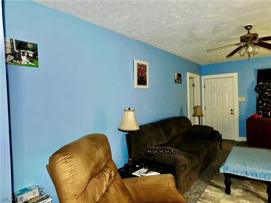 421 Celtic Street, Akron, OH 44314 - #2