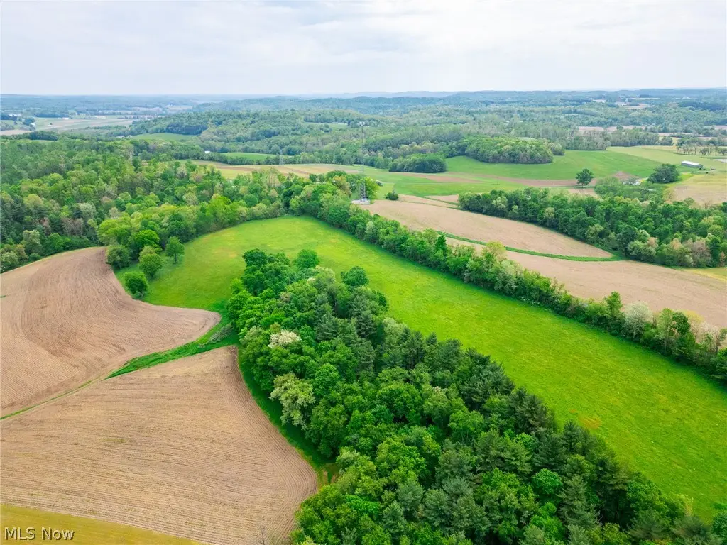 Summitville Road, Salineville, OH 43945 - #1