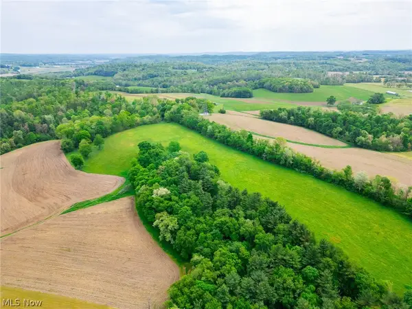 Summitville Road, Salineville, OH 43945