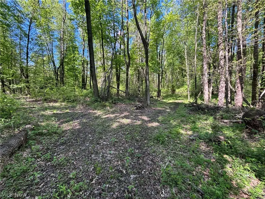 6060 Dalton Fox Lake Road, North Lawrence, OH 44666 - #2