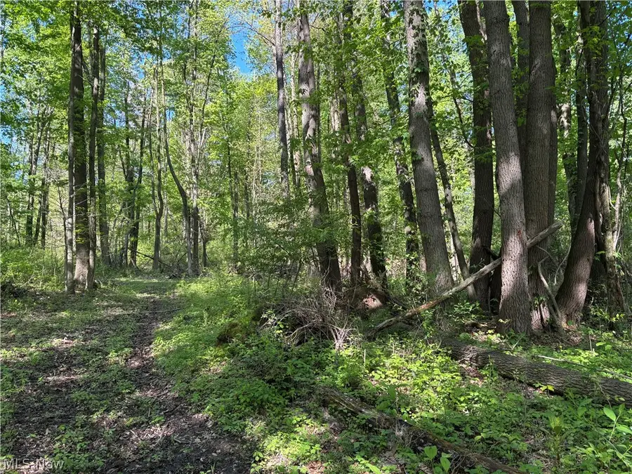 6060 Dalton Fox Lake Road, North Lawrence, OH 44666 - #3
