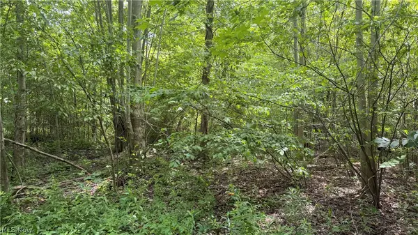 Ninevah Road, Geneva, OH 44041