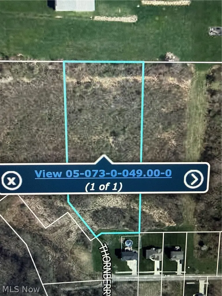 Thornberry Drive, North Lima, OH 44452 - #2