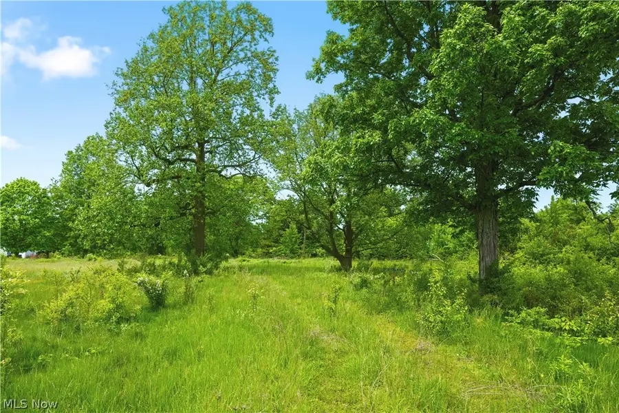 3133 Greenwich Road, Wadsworth, OH 44281 - #2