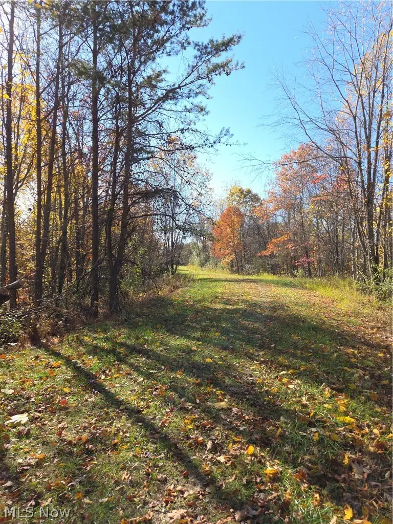 Glendale Pike, Grant, WV 26337 - #2
