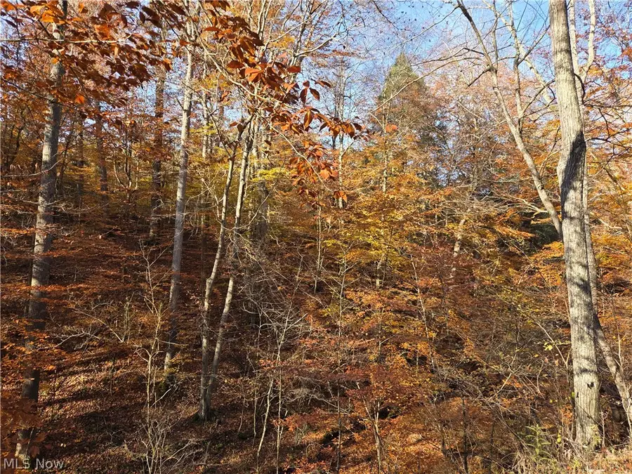 Glendale Pike, Grant, WV 26337 - #3