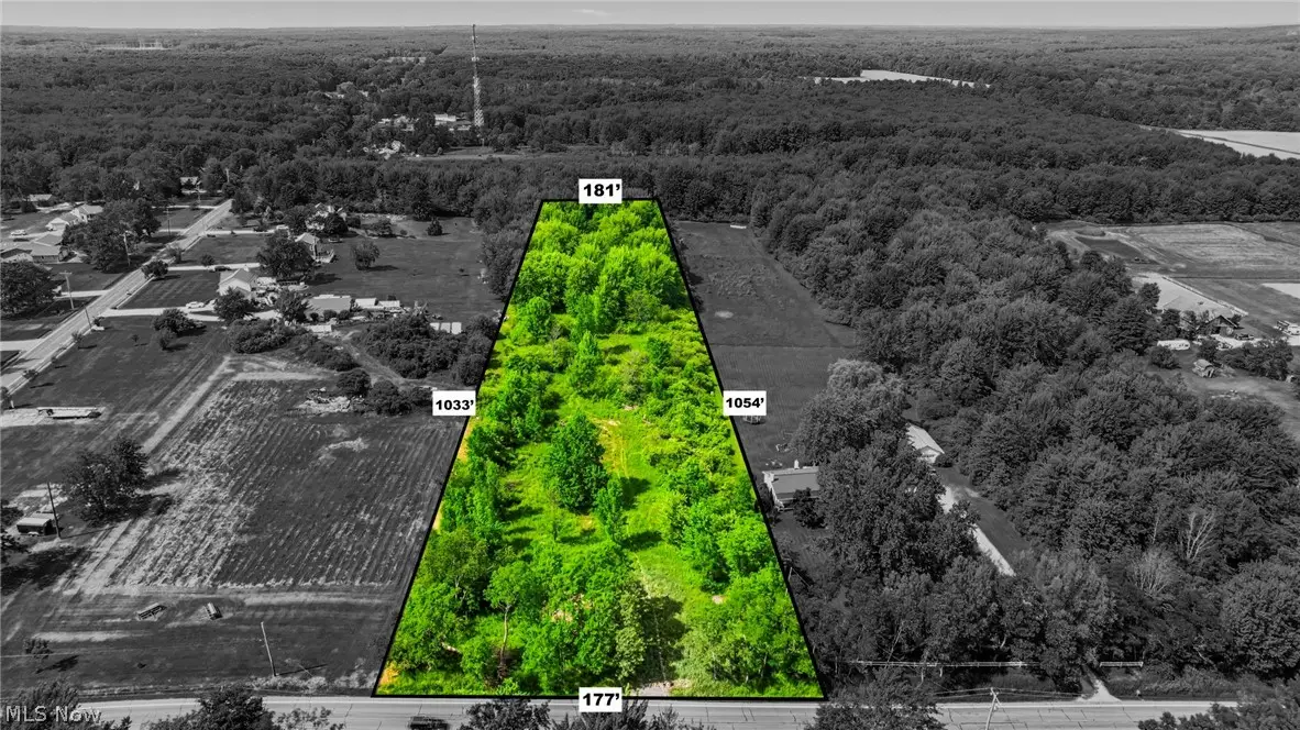 14161 Painesville Warren Road, Painesville, OH 44077 - #1