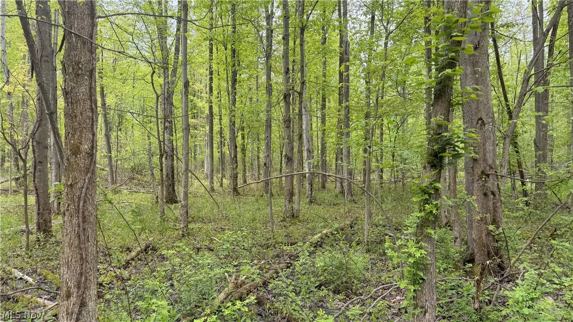 Munson Hill Road, Ashtabula, OH 44004 - #1