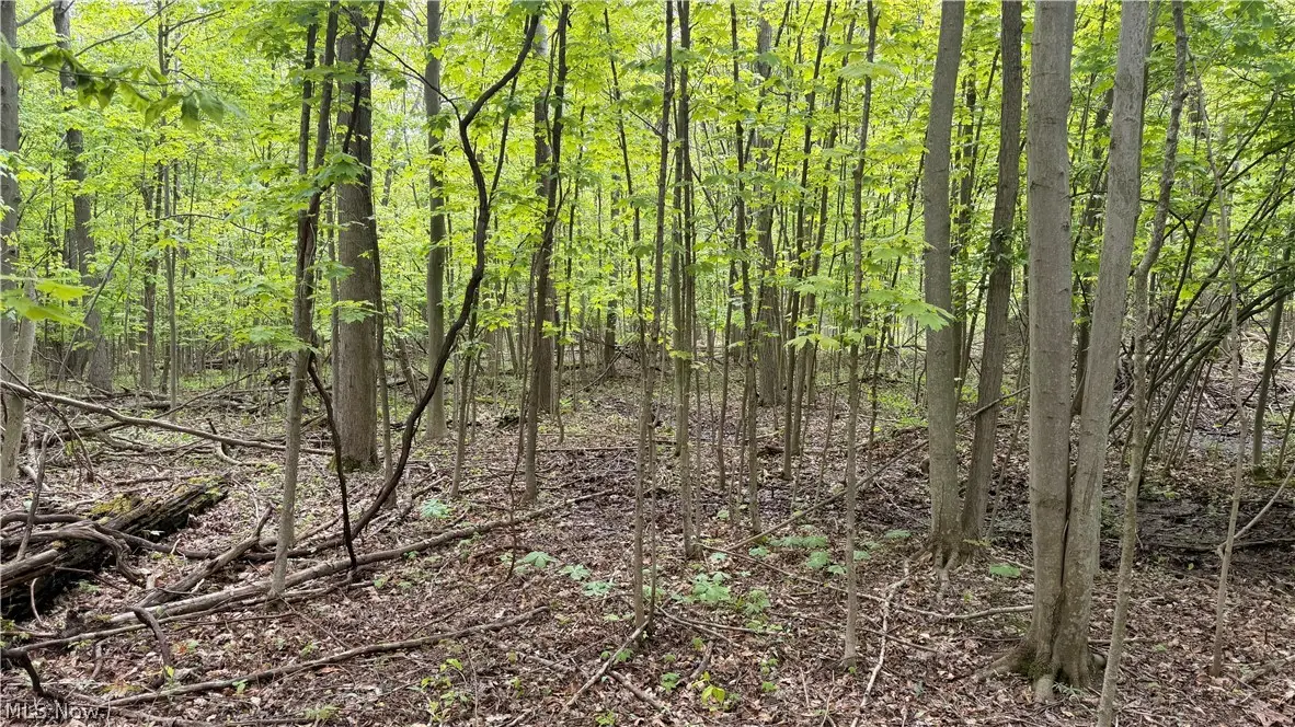 Munson Hill Road, Ashtabula, OH 44004 - #1