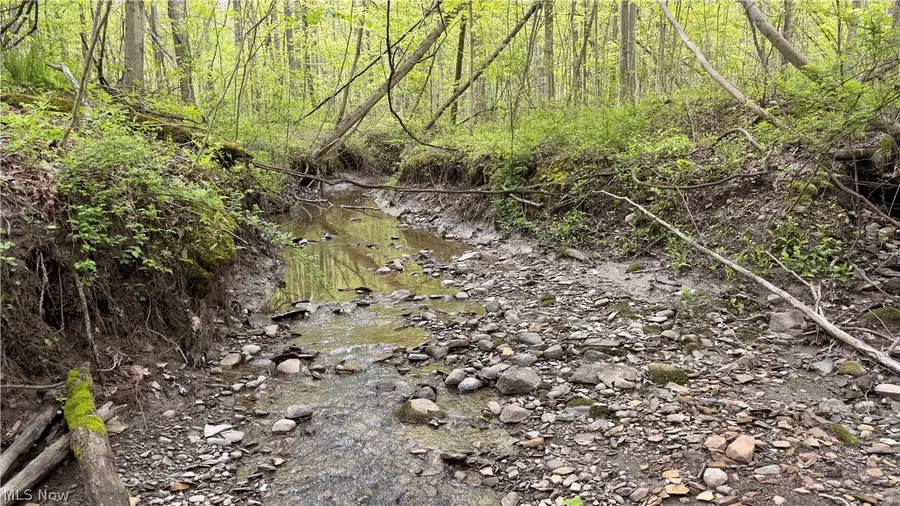 Munson Hill Road, Ashtabula, OH 44004 - #3