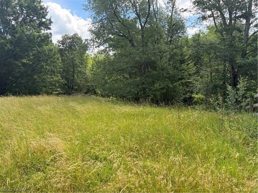 15441 Johnson Road, Lisbon, OH 44432 - #1