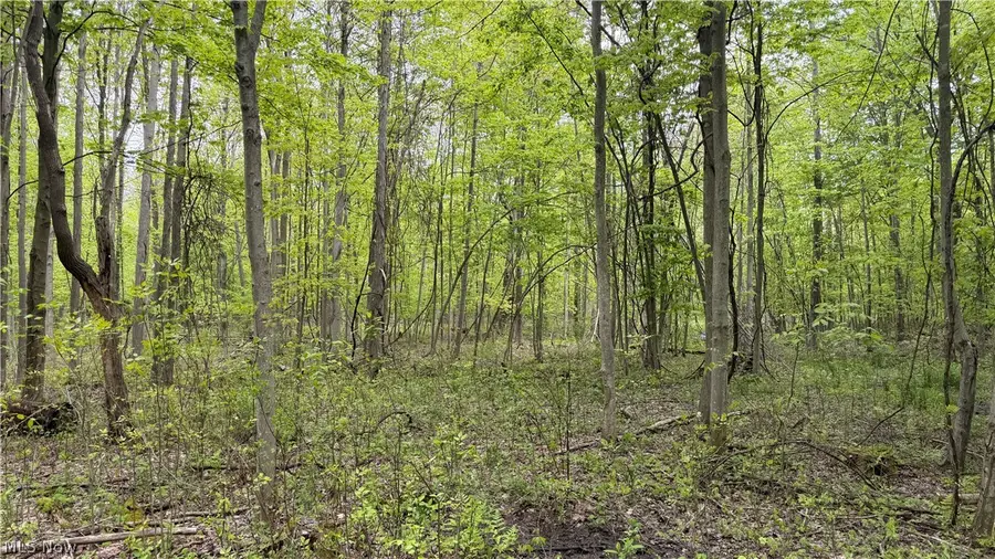 Munson Hill Road, Ashtabula, OH 44004 - #3
