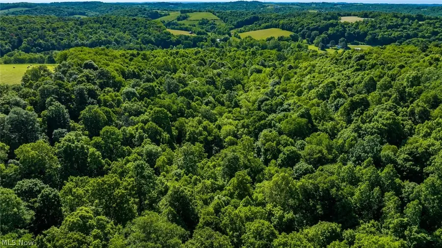 Cr 80, Frazeysburg, OH 43822 - #3